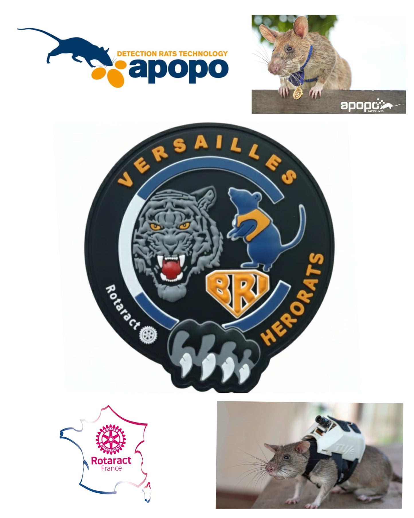Écusson BRI Versailles ROTARACT/ OPOPO
