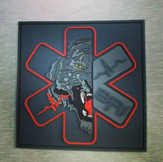 Medic BRI Versailles
